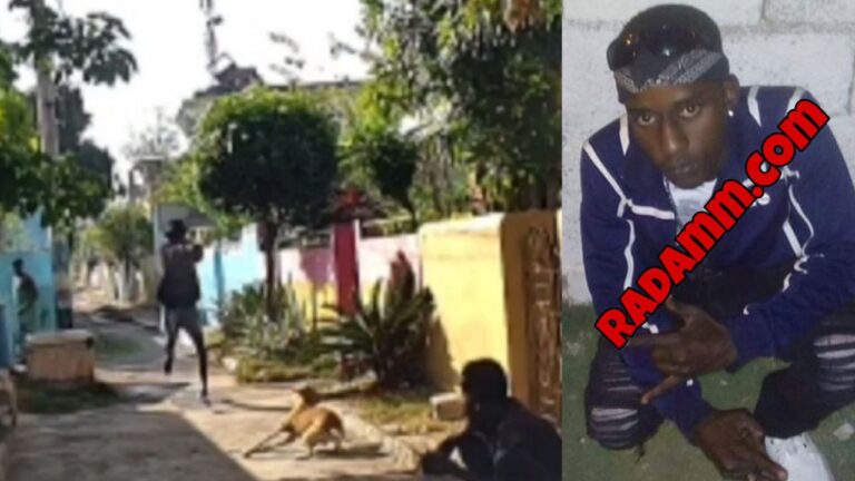 Gunman Kills Mentally-ill Man LIVE ON CAMERA in Seaview Gardens