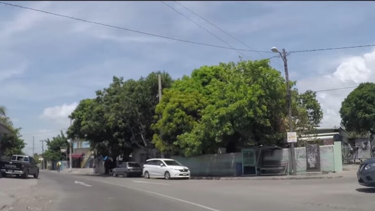 Brothers and Cousin Killed by Fake Cops on Chisholm Avenue