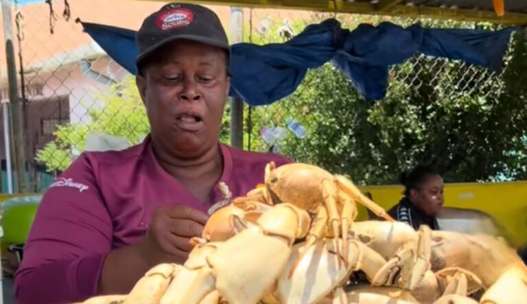 Heroes Circle Crab Corner Vendor Goes Viral