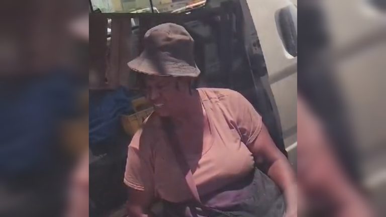 Food vendor caught on camera relieving herself goes viral