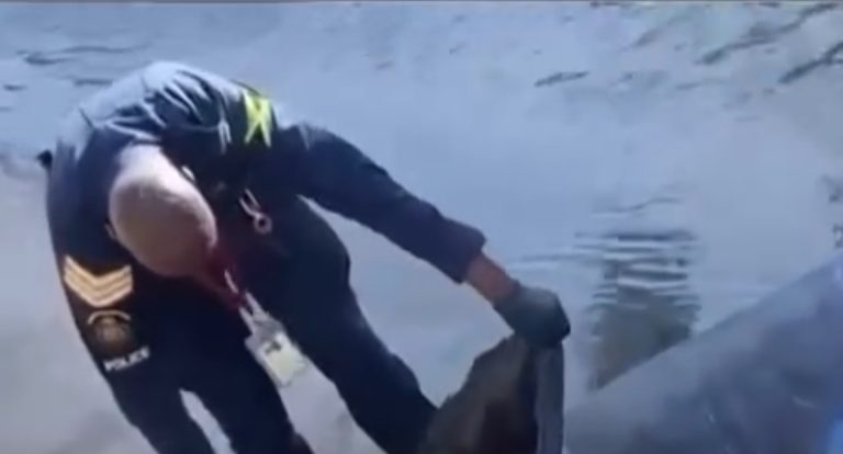 Woman’s body found in barrel along Marcus Garvey Drive