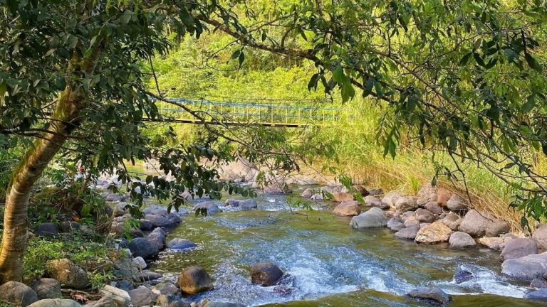 Teen Drowns Trying to Save Girl From Strong River Current in Portland