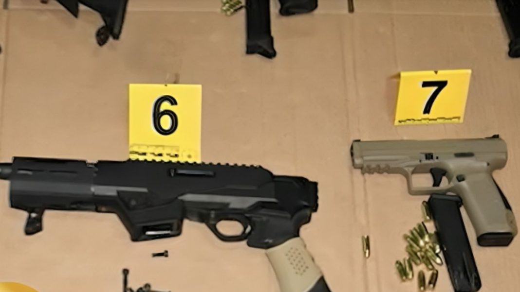 Over 200 Guns and Thousands of Rounds of Ammunition Seized at Kingston ...