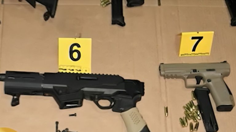Over 200 Guns and Thousands of Rounds of Ammunition Seized at Kingston Warehouse