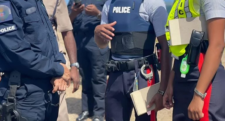 Alleged Triggerman in Gun Attack on Cop and His Family Killed by the Police